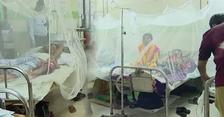 ডেঙ্গু চিকিৎসায় বাড়ছে ব্যয়, চাপে নিম্নবিত্তরা